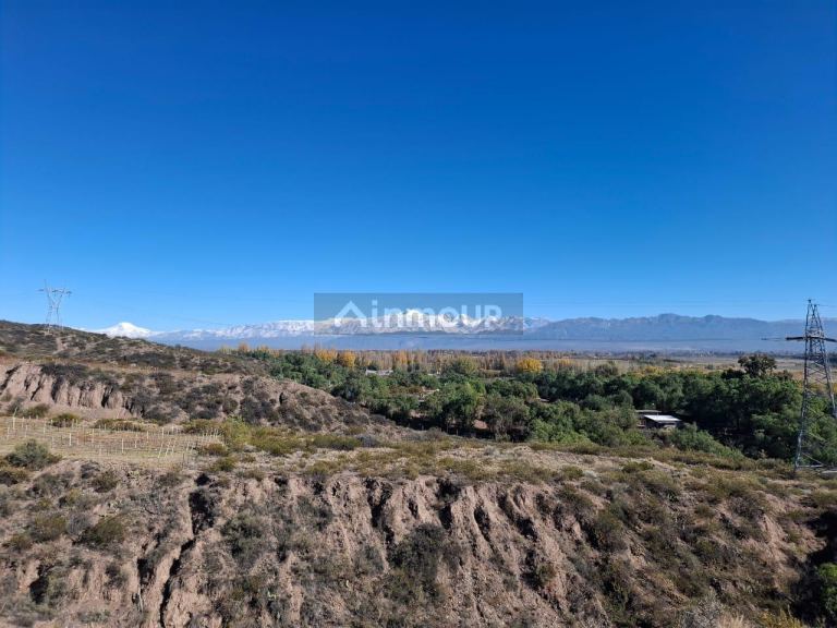 Finca en Venta en Lujan de Cuyo, Mendoza