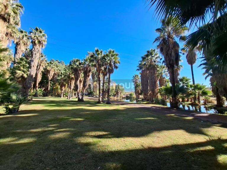 Finca en Venta en Lujan de Cuyo, Mendoza