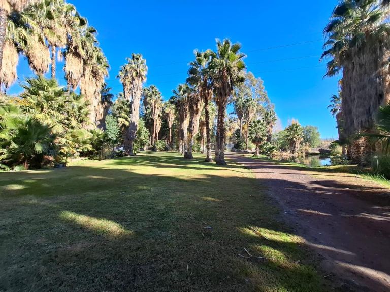 Finca en Venta en Lujan de Cuyo, Mendoza