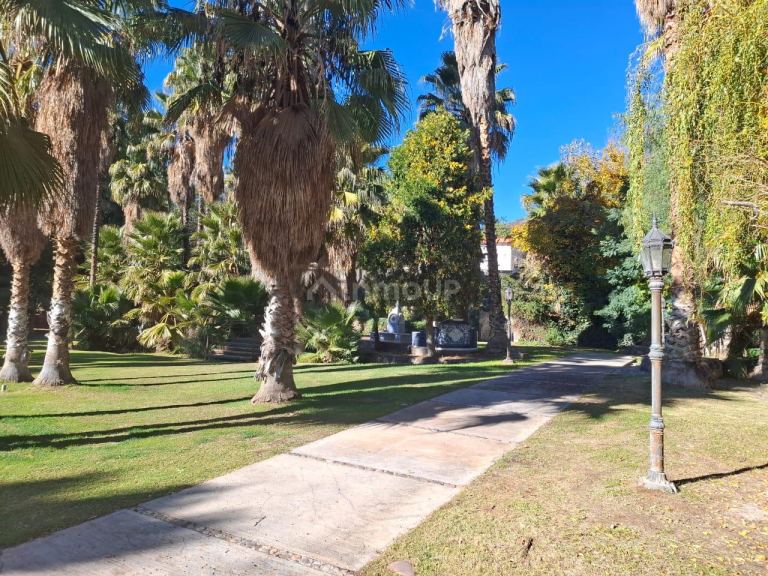 Finca en Venta en Lujan de Cuyo, Mendoza