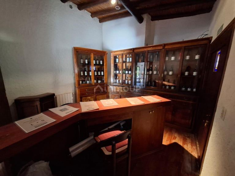 Finca en Venta en Lujan de Cuyo, Mendoza