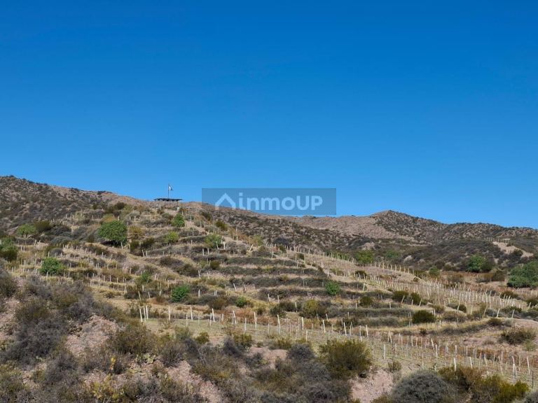 Finca en Venta en Lujan de Cuyo, Mendoza