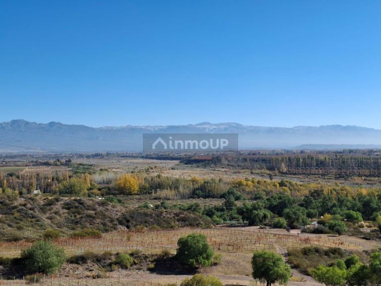 Finca en Venta en Lujan de Cuyo, Mendoza