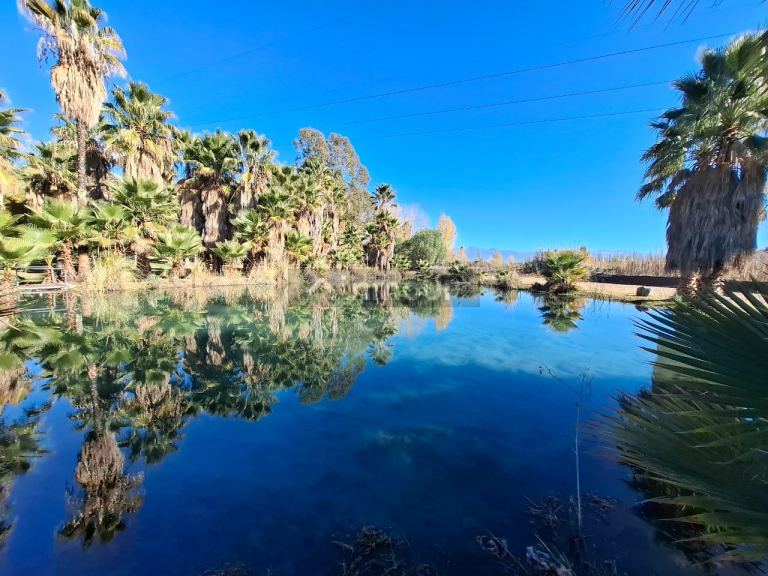 Lujan de Cuyo Olavarria 5270