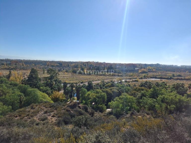 Finca en Venta en Lujan de Cuyo, Mendoza
