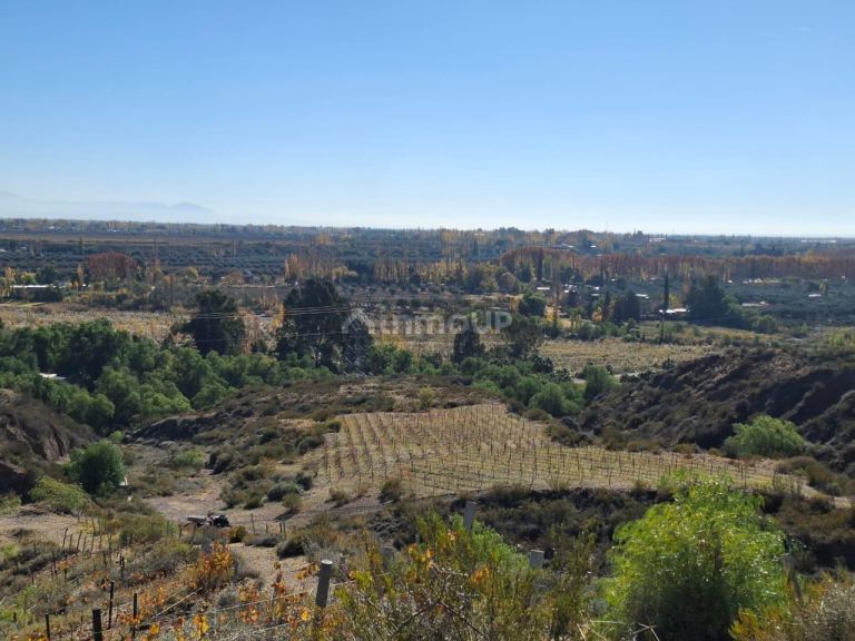 Finca en Venta en Lujan de Cuyo, Mendoza