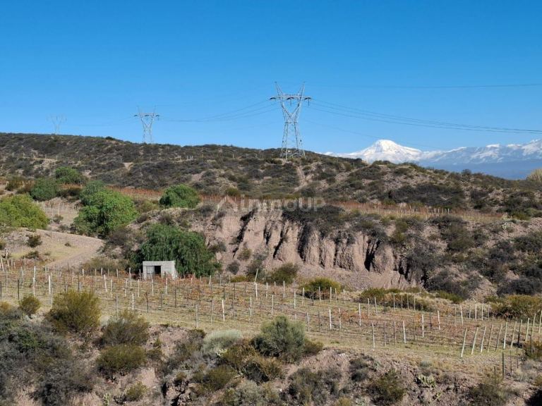 Finca en Venta en Lujan de Cuyo, Mendoza