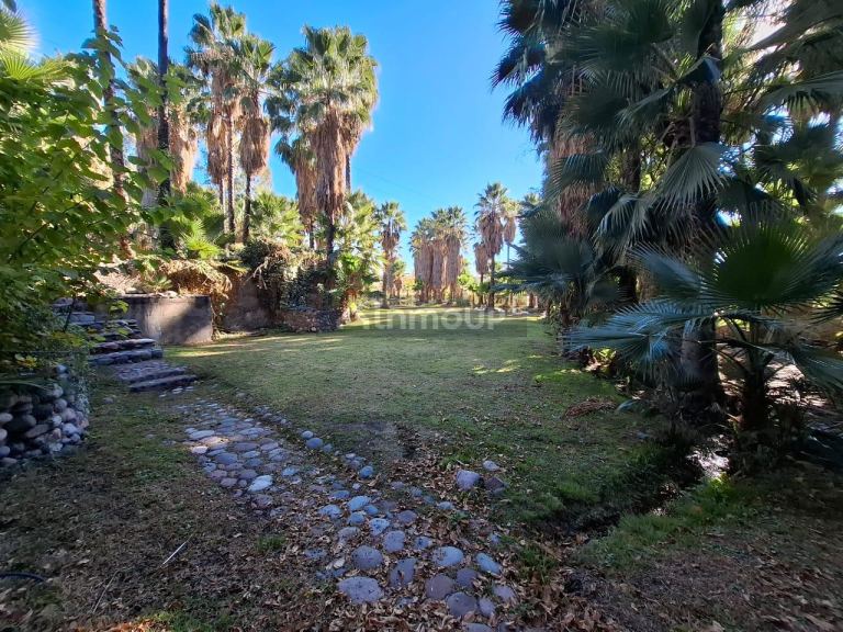Finca en Venta en Lujan de Cuyo, Mendoza