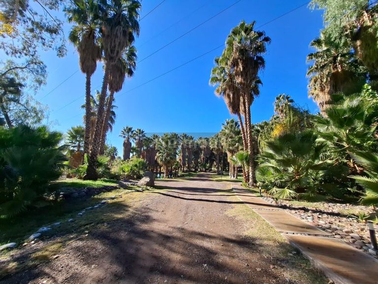 Finca en Venta en Lujan de Cuyo, Mendoza