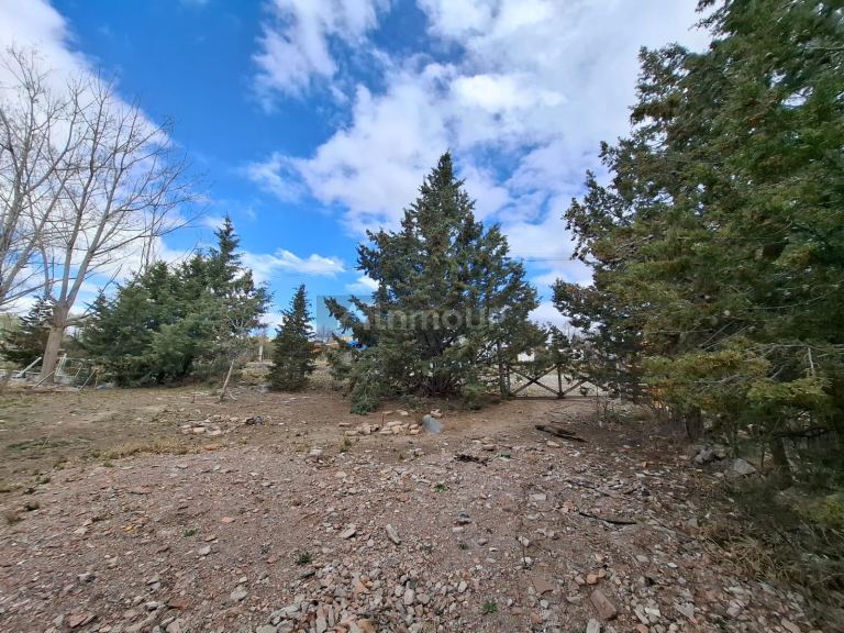 Terreno en Venta en Lujan de Cuyo, Mendoza