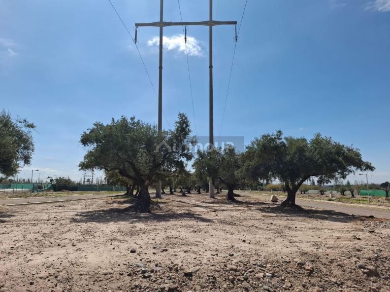 Lote en Venta en Maipu, Mendoza