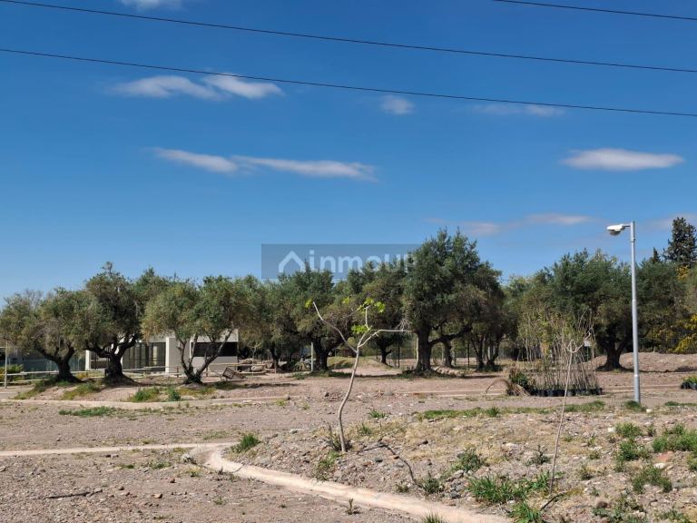 Lote en Venta en Maipu, Mendoza
