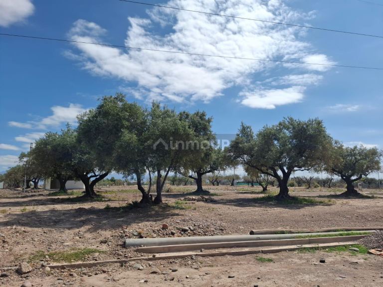 Lote en Venta en Maipu, Mendoza