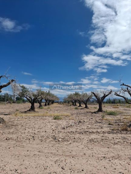 Lote en Venta en Maipu, Mendoza