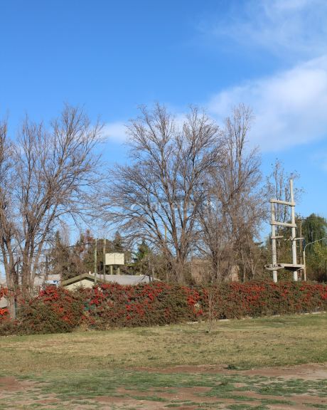 Lote en Venta en Lujan de Cuyo, Mendoza