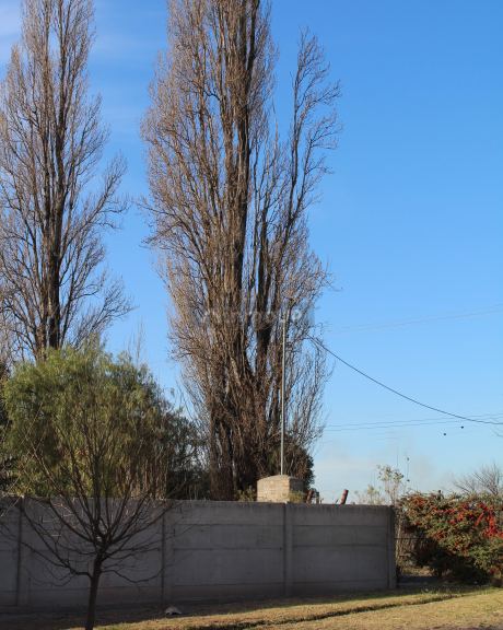 Terreno en Venta en Maipu, Mendoza