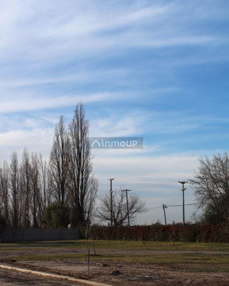 Terreno en Venta en Maipu, Mendoza