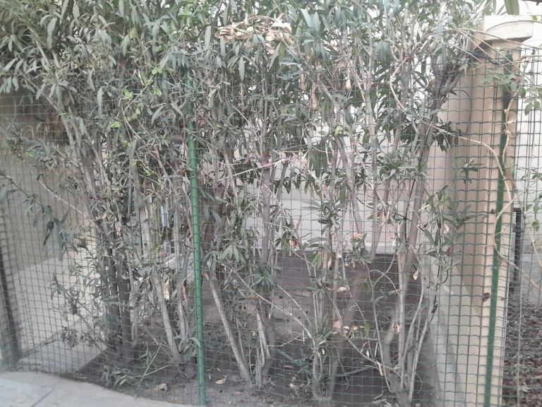 Duplex en Venta en Guaymallen, Mendoza