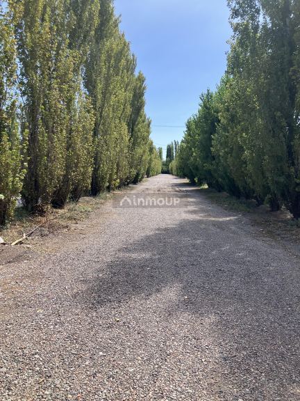 Lote en Venta en 9 de Julio, San Juan