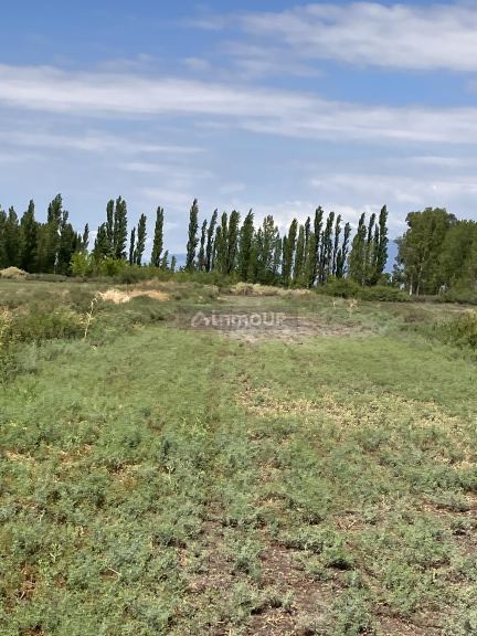 Lote en Venta en 9 de Julio, San Juan