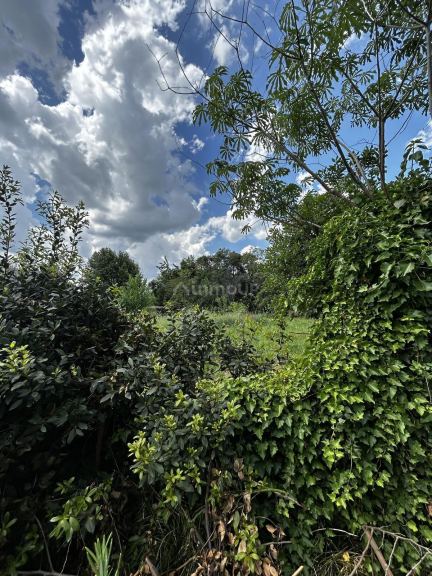 Terreno en Venta en San Vicente, G.B.A. Zona Sur