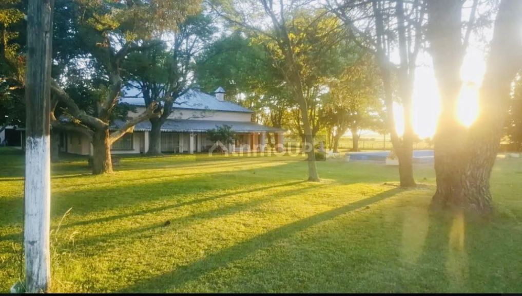Campo en Venta en Pergamino, Buenos Aires Interior