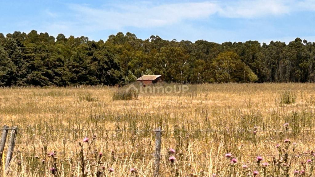 Terreno en Venta en Mar del Plata, Buenos Aires Costa Atlantica