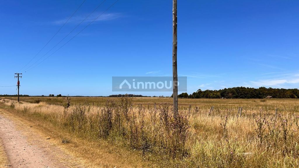 Terreno en Venta en Mar del Plata, Buenos Aires Costa Atlantica