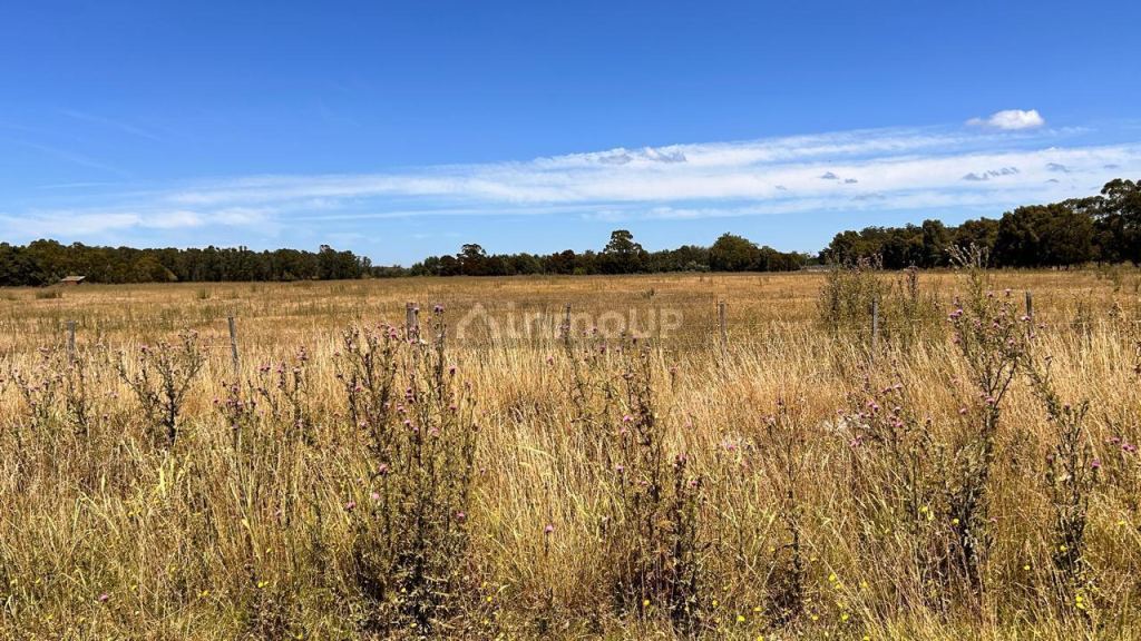 Terreno en Venta en Mar del Plata, Buenos Aires Costa Atlantica