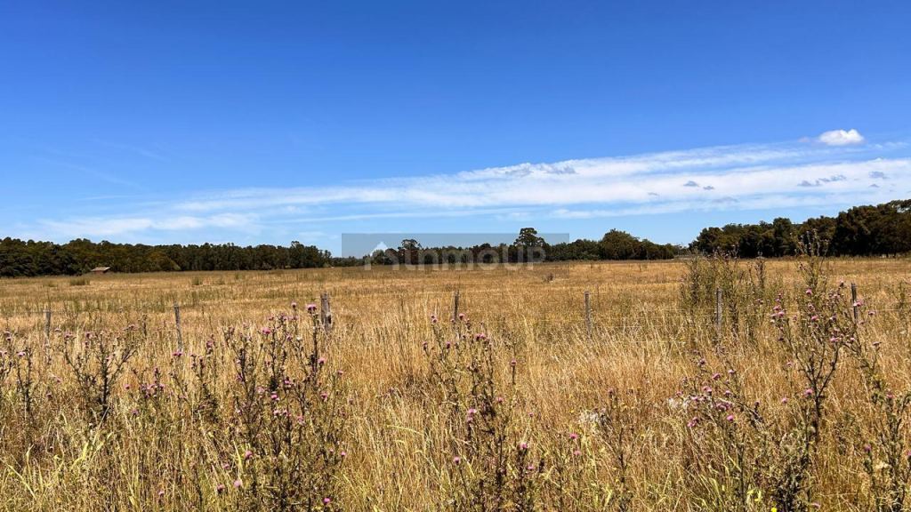 Terreno en Venta en Mar del Plata, Buenos Aires Costa Atlantica