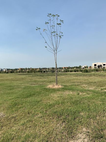 Terreno en Venta en Escobar, G.B.A. Zona Norte
