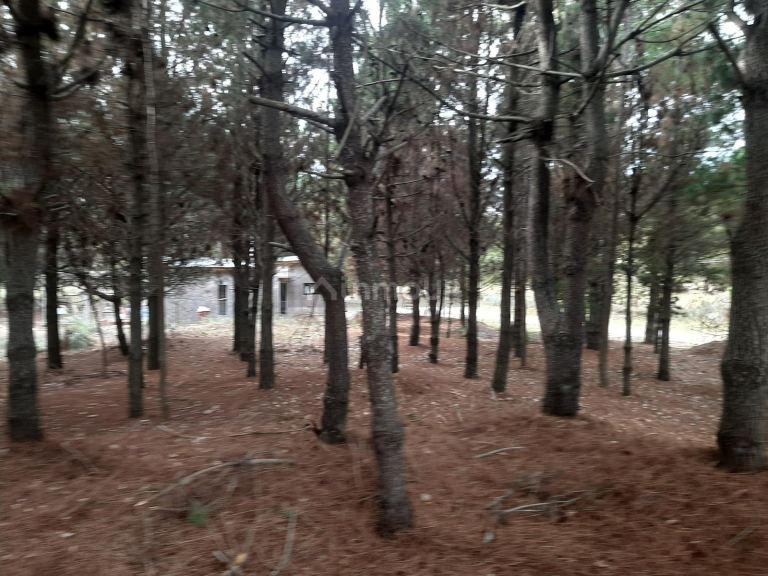Terreno en Venta en San Bernardo, Buenos Aires Costa Atlantica