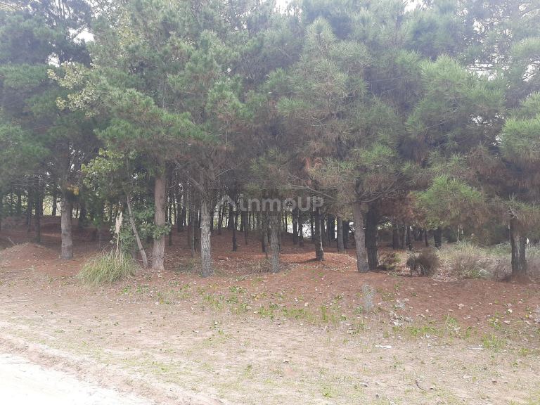 Terreno en Venta en San Bernardo, Buenos Aires Costa Atlantica