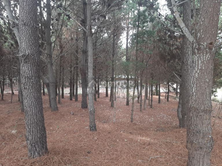 Terreno en Venta en San Bernardo, Buenos Aires Costa Atlantica