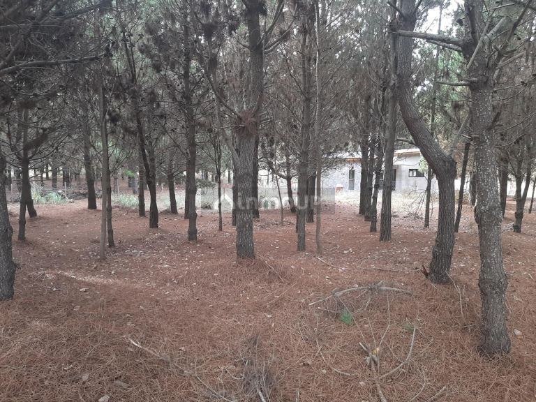 Terreno en Venta en San Bernardo, Buenos Aires Costa Atlantica