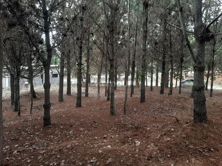 Terreno en Venta en San Bernardo, Buenos Aires Costa Atlantica