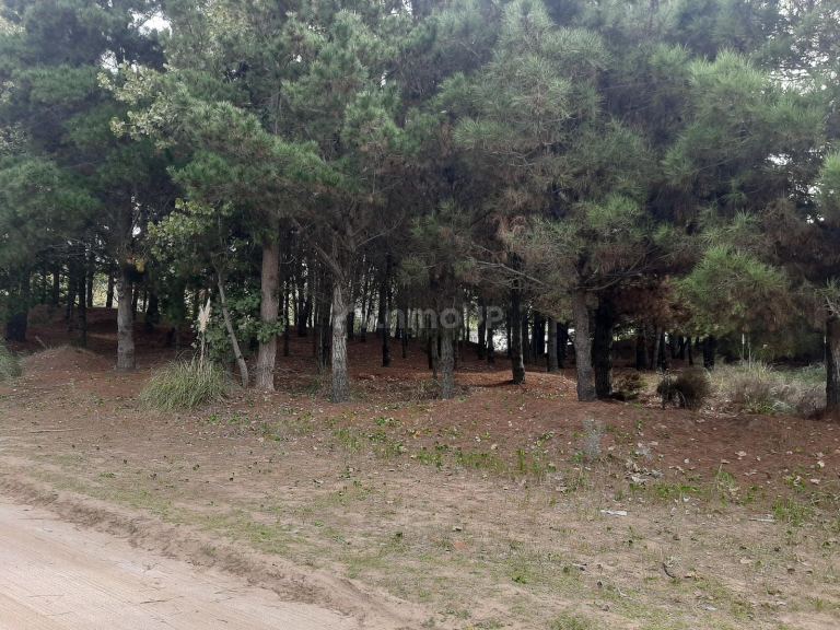 Terreno en Venta en San Bernardo, Buenos Aires Costa Atlantica