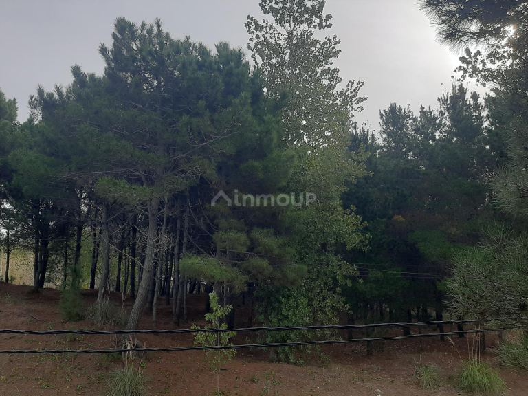 Terreno en Venta en San Bernardo, Buenos Aires Costa Atlantica