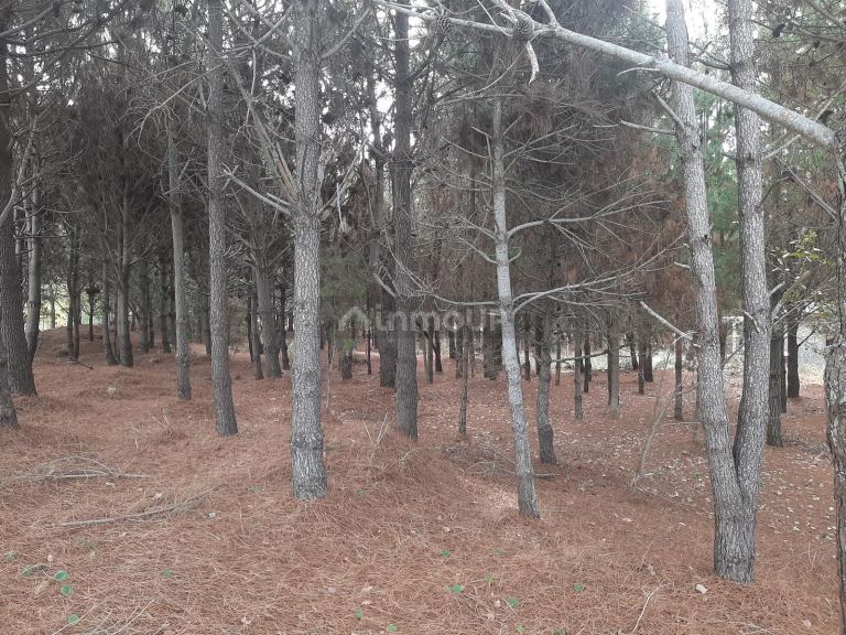 Terreno en Venta en San Bernardo, Buenos Aires Costa Atlantica