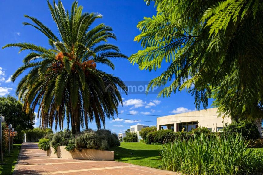 Departamento en Alquiler en Chacarita, Capital Federal - $ 650.000 | Inmoup - 17