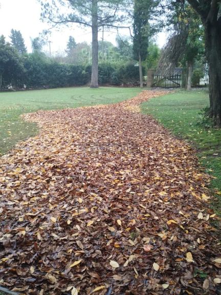 Terreno en Venta en Campana, G.B.A. Zona Norte
