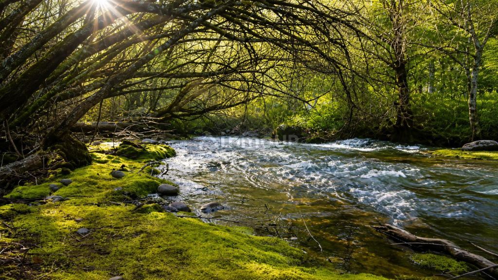 Finca en Venta en San Carlos de Bariloche, Rio Negro