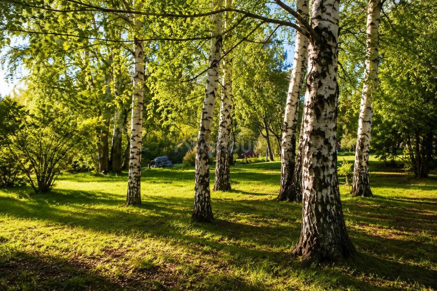 Finca en Venta en San Carlos de Bariloche, Rio Negro