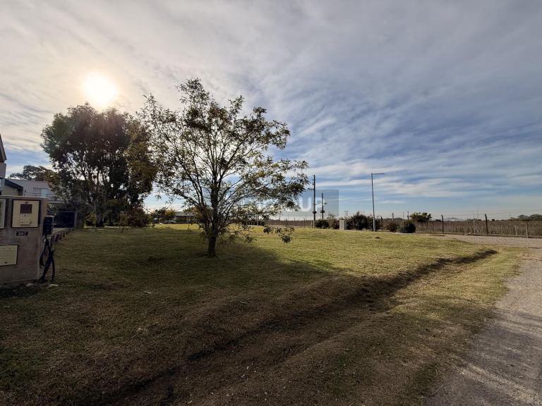 Terreno en Venta en Presidente Peron, G.B.A. Zona Sur