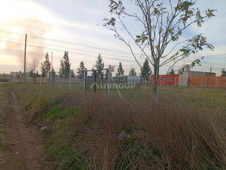 Terreno en Venta en Cañuelas, G.B.A. Zona Sur