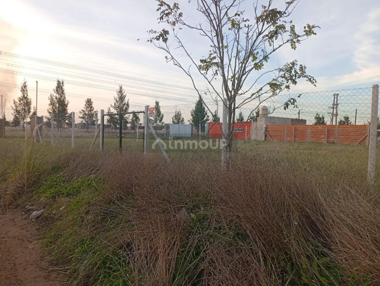 Terreno en Venta en Cañuelas, G.B.A. Zona Sur