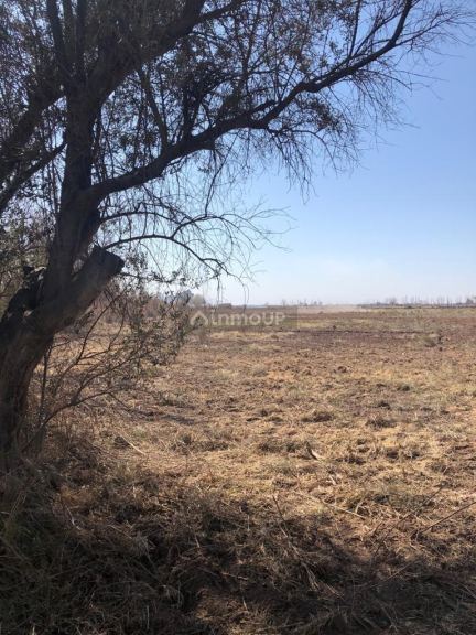 Lote en Venta en Lavalle, Mendoza