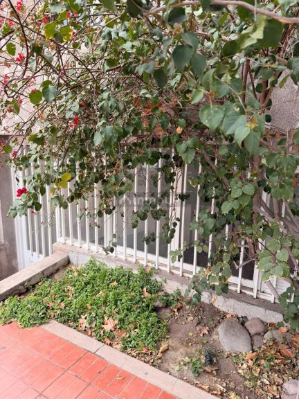 Departamento en Venta en Godoy Cruz, Mendoza