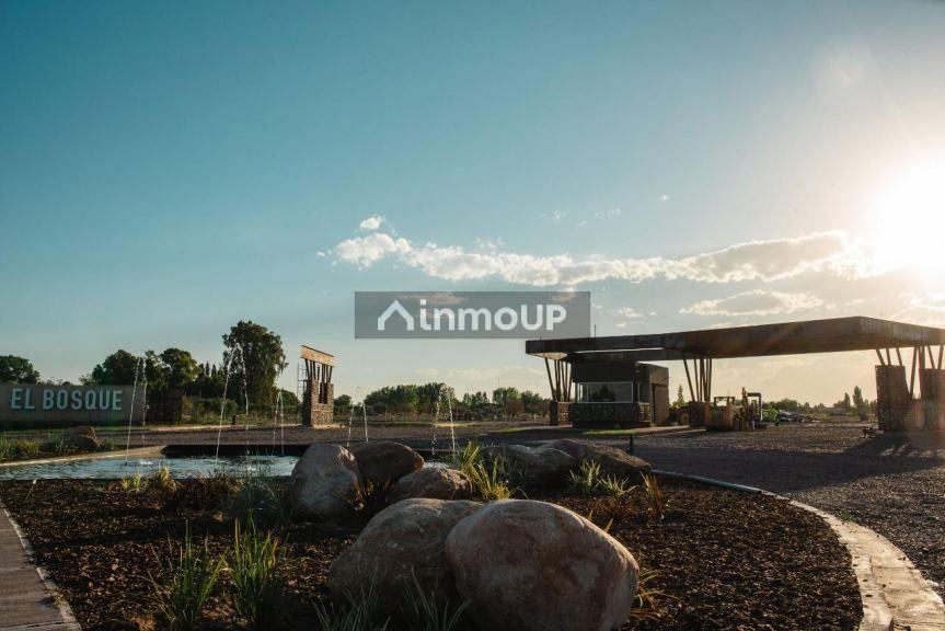 Lote en Venta en Maipu, Mendoza