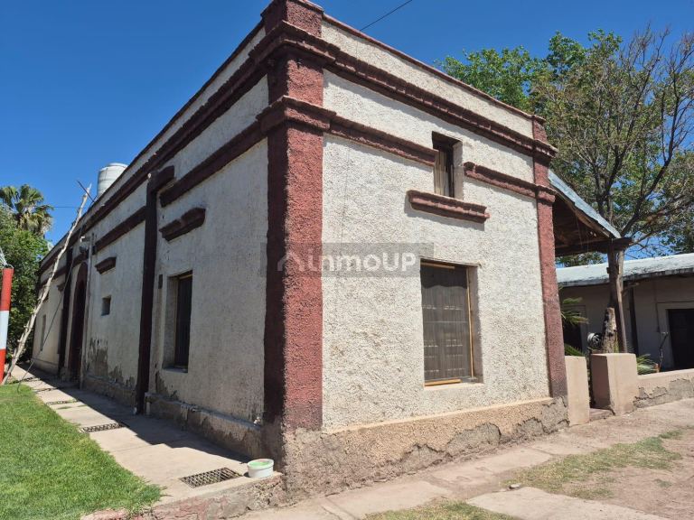 Finca en Venta en Maipu, Mendoza
